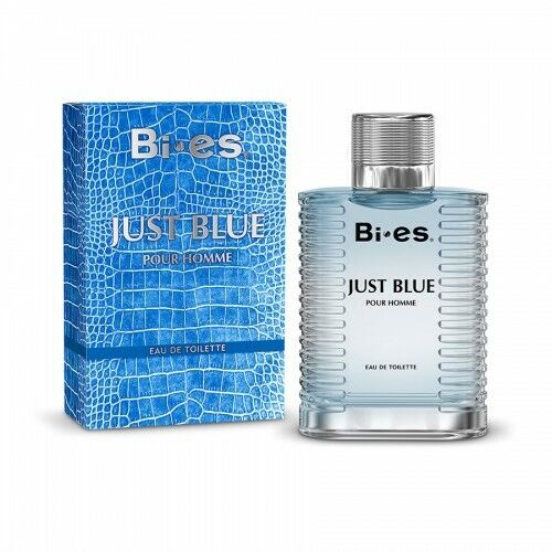 Bi-Es Just Blue 100ml Eau De Toilette